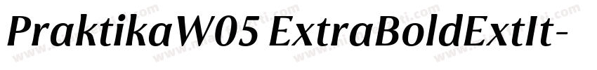 PraktikaW05 ExtraBoldExtIt字体转换